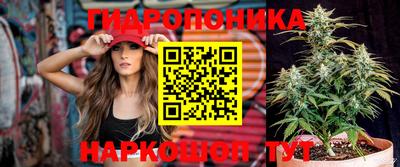 PSILOCYBIN Берёзовский