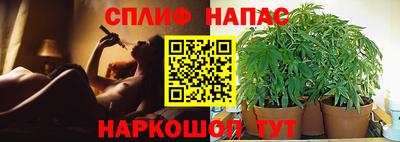 PSILOCYBIN Берёзовский