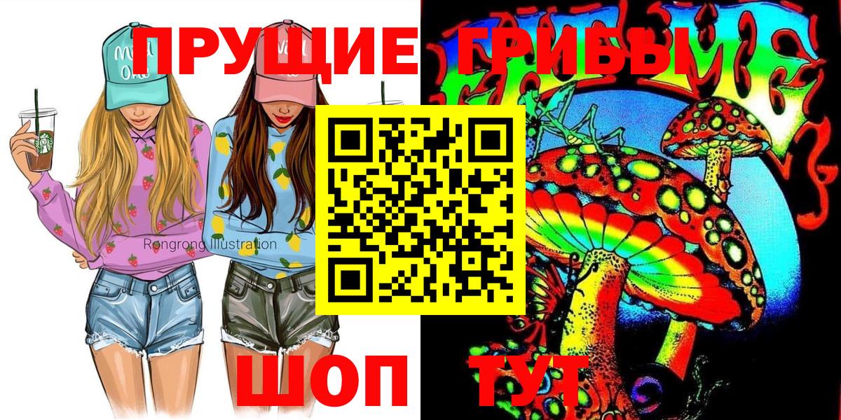 Псилоцибиновые грибы Cubensis Гусиноозёрск