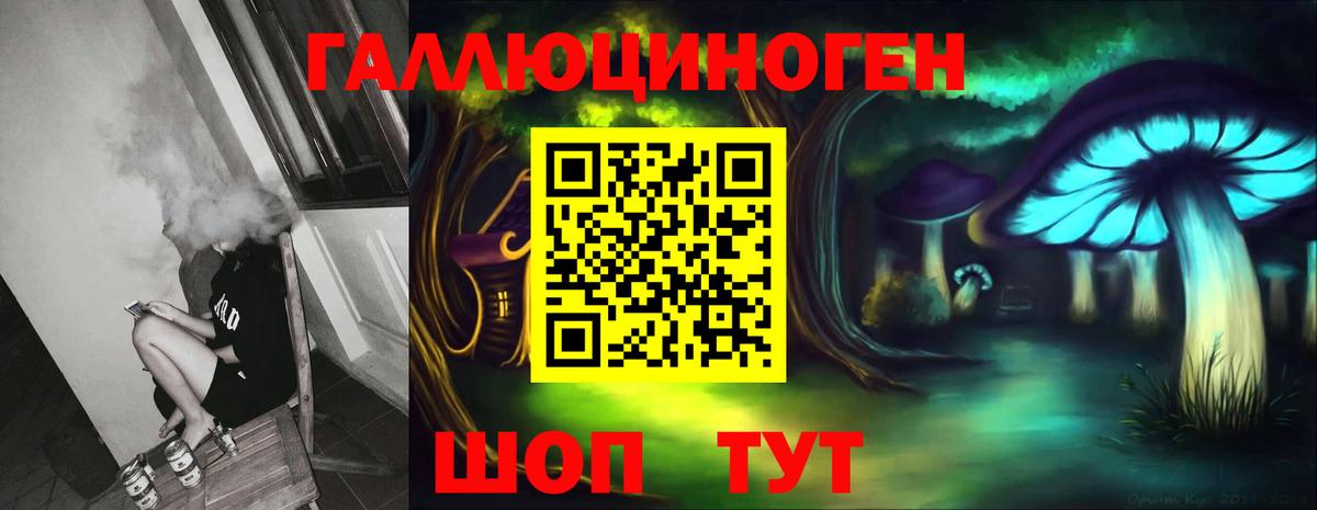 Галлюциногенные грибы Psilocybine cubensis  Псилоцибиновые грибы Psilocybine cubensis  Гусиноозёрск 